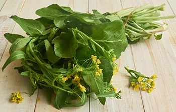 Conheça os benefícios das folhas de mostarda para sua saúde